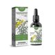 thumbnail image 1 of 8x Gordolobo Dendrobium 30ml -fb., 1 of 4