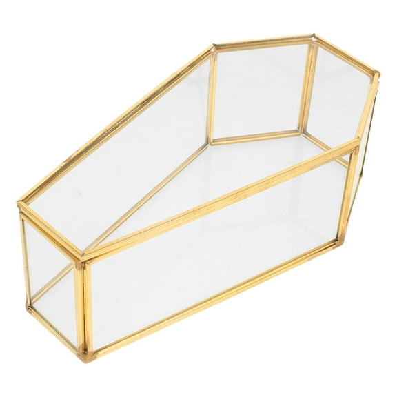 FONDOTIN Coffin-shaped Glass Display Box 1Pack Trinket Case Keepsake Storage for Home Decor Collectors Enthusiasts