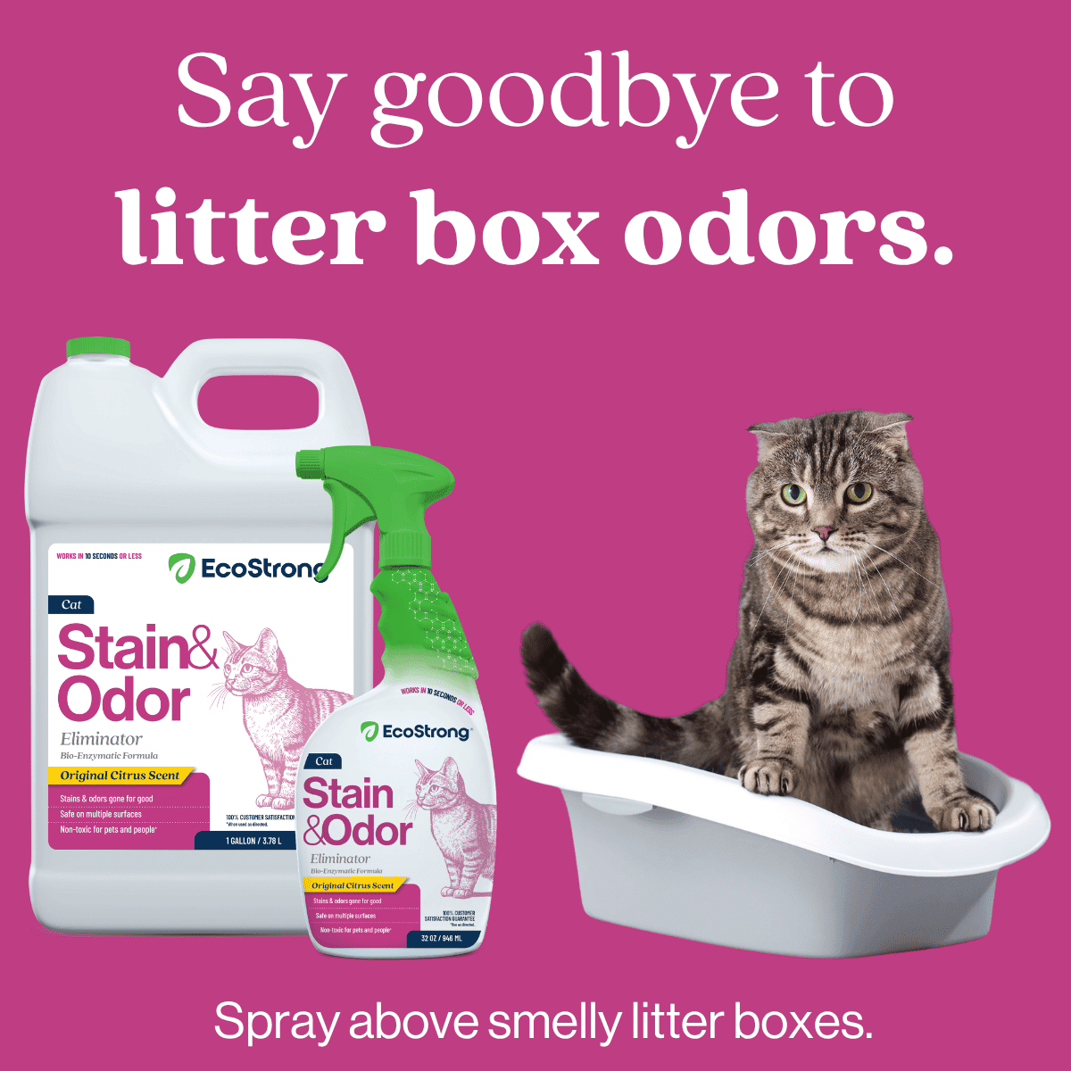 Cat Stain and Odor Remover: Enzyme Urine Odor Neutralizer - Stain Remover (32 oz and 1 Gallon)