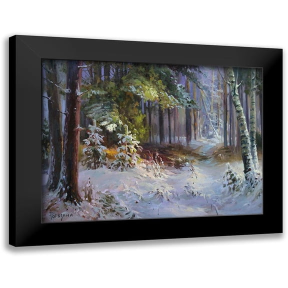 Rogozina, Svetlana 14x12 Black Modern Framed Museum Art Print Titled - Freshly Fallen Snow