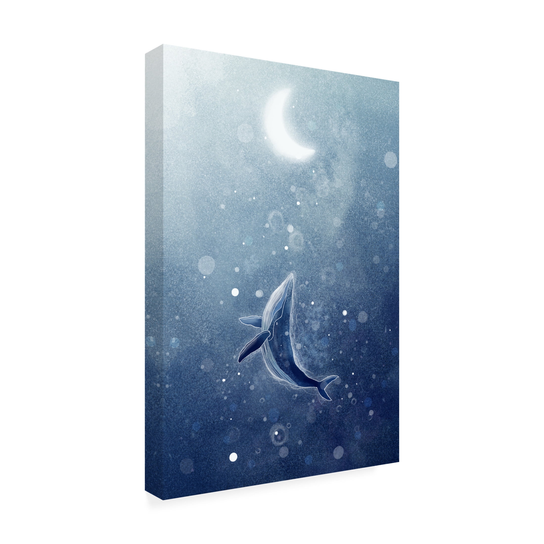 Trademark Fine Art Xuan Thai Galaxy Whale Canvas Wall Art