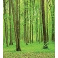 thumbnail image 3 of Forest Duvet Cover Set, Spring Forest in a Sunny Day Fresh Soft Colors Like a Dream Leaf Peace Theme Print, Decorative 3 Piece Bedding Set with 2 Pillow Shams, Queen Size, Green Brown, by Ambesonne, 3 of 3