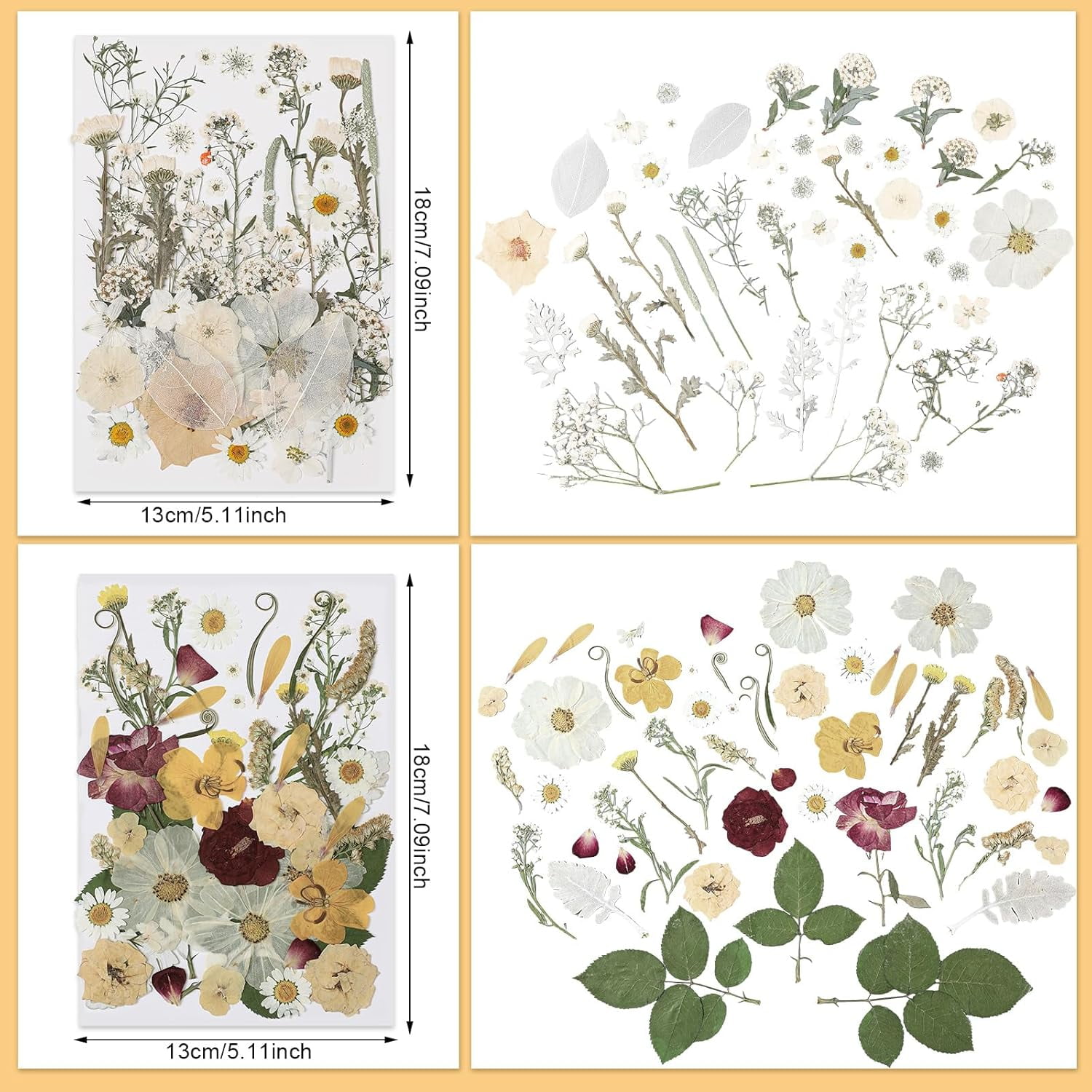 200 Pcs Pressed Flowers Bulk Dried Flower for Craft Resin Mold Bookmark Scrapbooking Nail Cake White Orange Natural Floral with Tweezer DIY Gift(Classic Color,Retro Style)