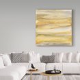 thumbnail image 2 of Trademark Fine Art 'Grey and Gold' Canvas Art by Chris Paschke, 2 of 3