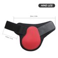 thumbnail image 4 of Juego de botas ajustables de pierna de caballo Botas delanteras equinas Botas traseras Botas de neopreno Protectores de corvejas de caballo Equipo ecuestre Maboto Botas de pierna, 4 of 7