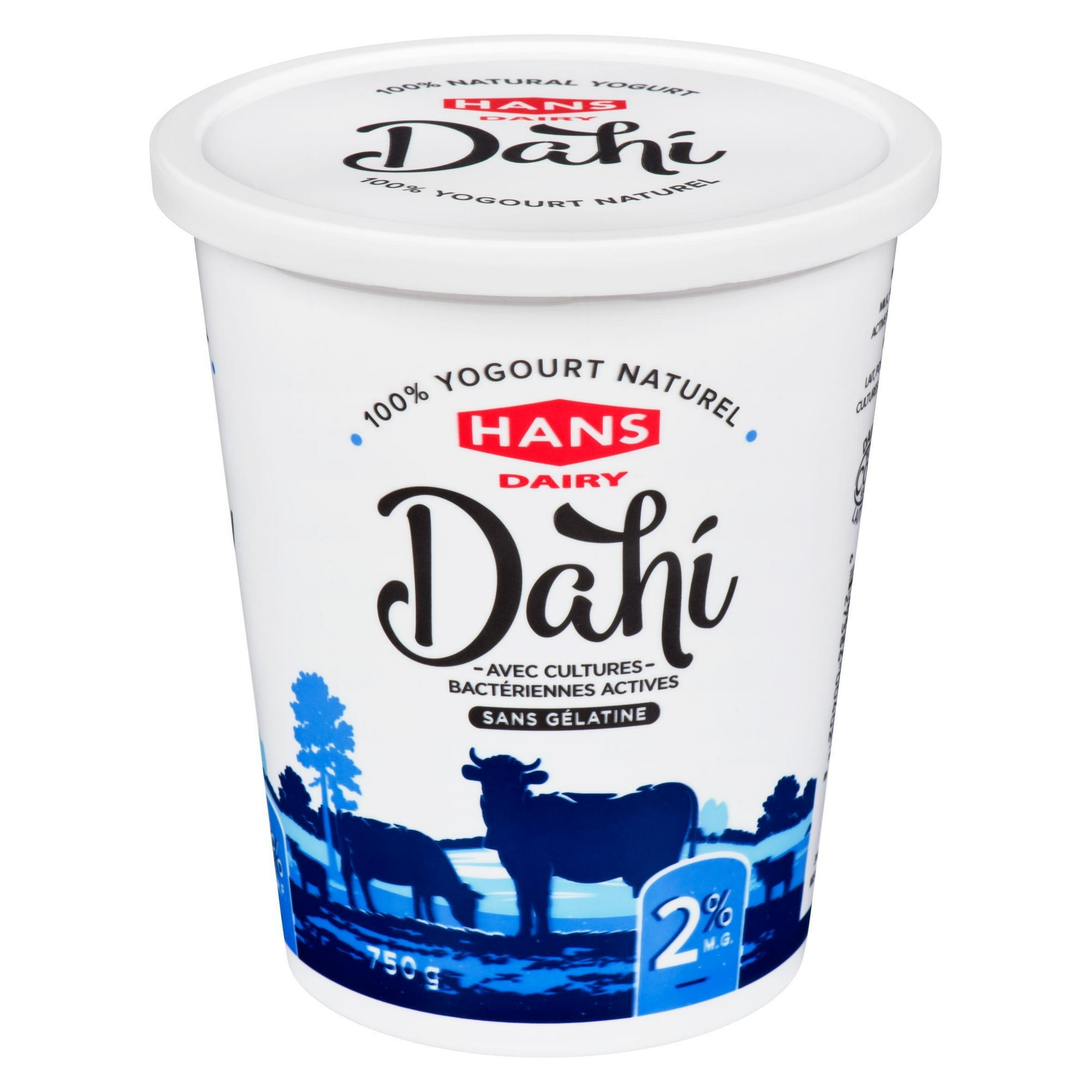 Hans Dairy Dahi 2% M.F. Natural Yogurt
