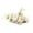 White_001, variant on Bmisegm Hair Comb Rose Fascinator Hair Clip with Teeth Bohemian Bride Wedding Graduation Hair Accessories for Women One Size