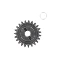 thumbnail image 1 of 23T Steel Spur Gear, 1 of 1