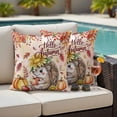 thumbnail image 4 of Fall Hedgehog Outdoor Waterproof Pillow Covers, Thanksgiving Pumpkin Sunflower Leaves Pink Decorative Square Throw Pillowcase Sofa Cushion Sham for Patio/Couch/Chair, 16"x16" 2 Pack, 4 of 8