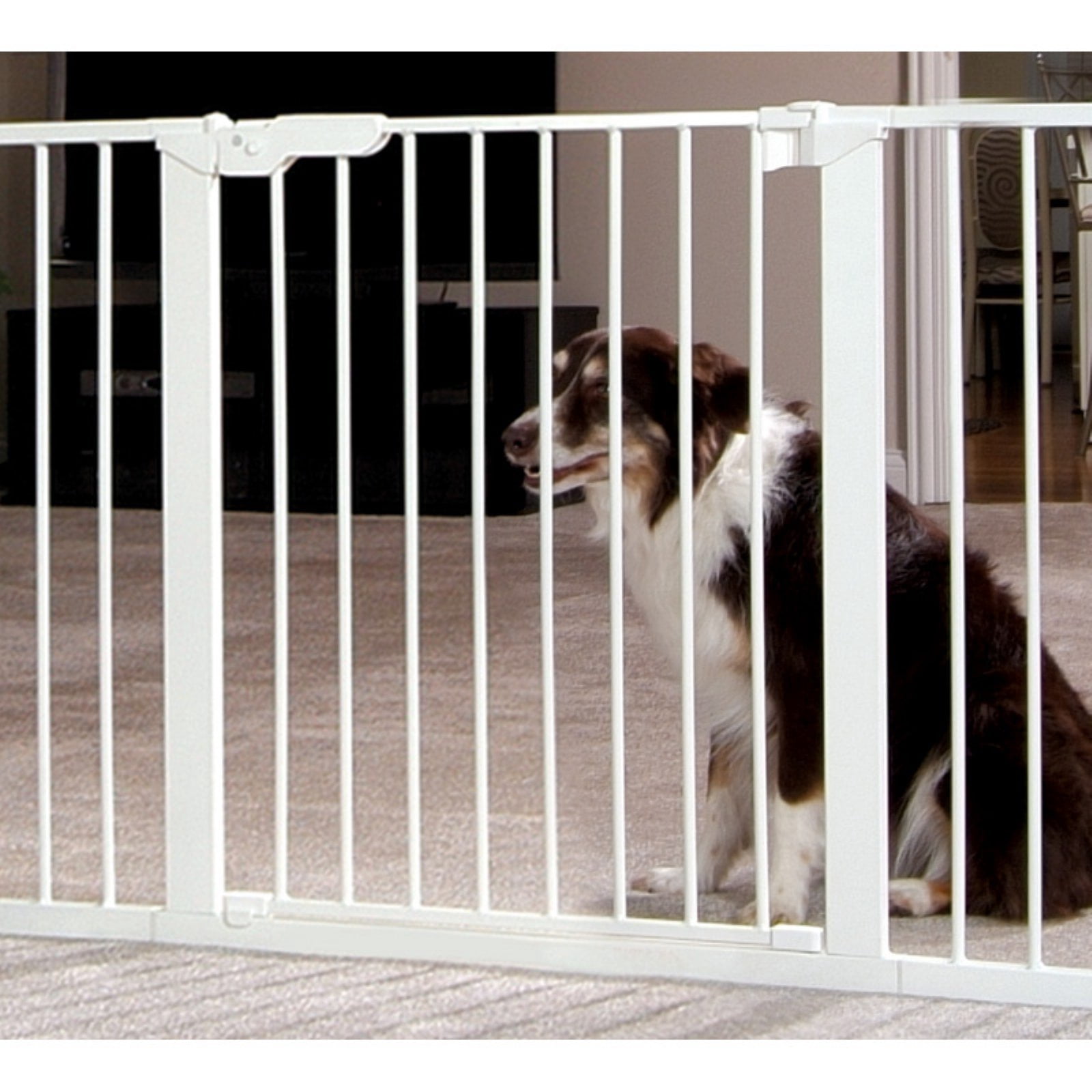 Command Pet PG6142 5.5 in. Tall Pressure Dog or Other Animal Gate Extension, White