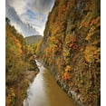 thumbnail image 3 of Ambesonne Nature Scene Duvet Cover Sets, River Autumn Colors, 2-King, Fawn Orange Olive Green, 3 of 7