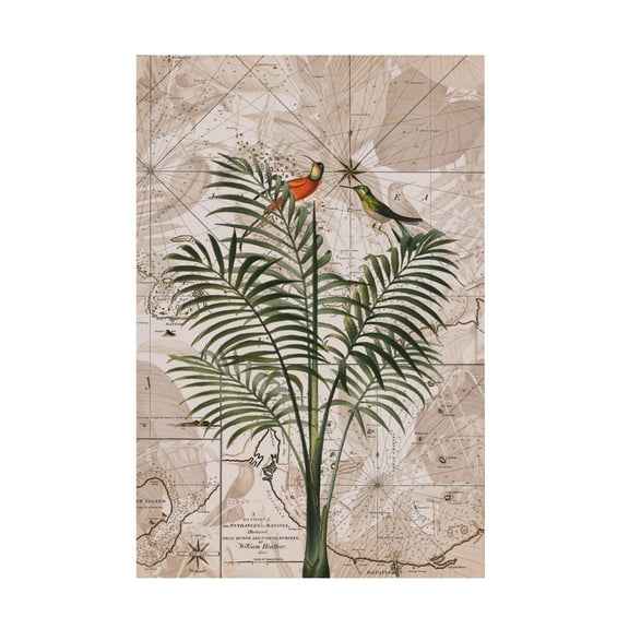 Trademark Fine Art Andrea Haase Indonesia Jungle Paradise No4 Canvas Wall Art