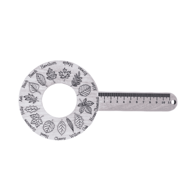 Buy 2 get 10% off Interesting Plant Encyclopedia Plant Identification Crafts Ruler