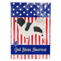 Wetterhoun Frisian Water Dog American Flag Canvas House Size