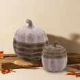 thumbnail image 4 of Ayieyill 2pcs Resin Pumpkin Decorations with Rattan Style Fall Decor Autumn Decor Thanksgiving Decorations for Home, 4 of 7