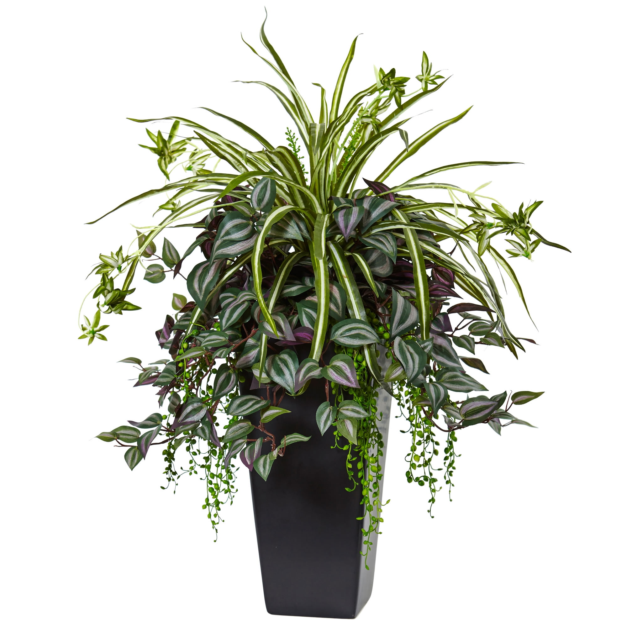 Discover The Hidden Power Of The Wandering Jew Plant