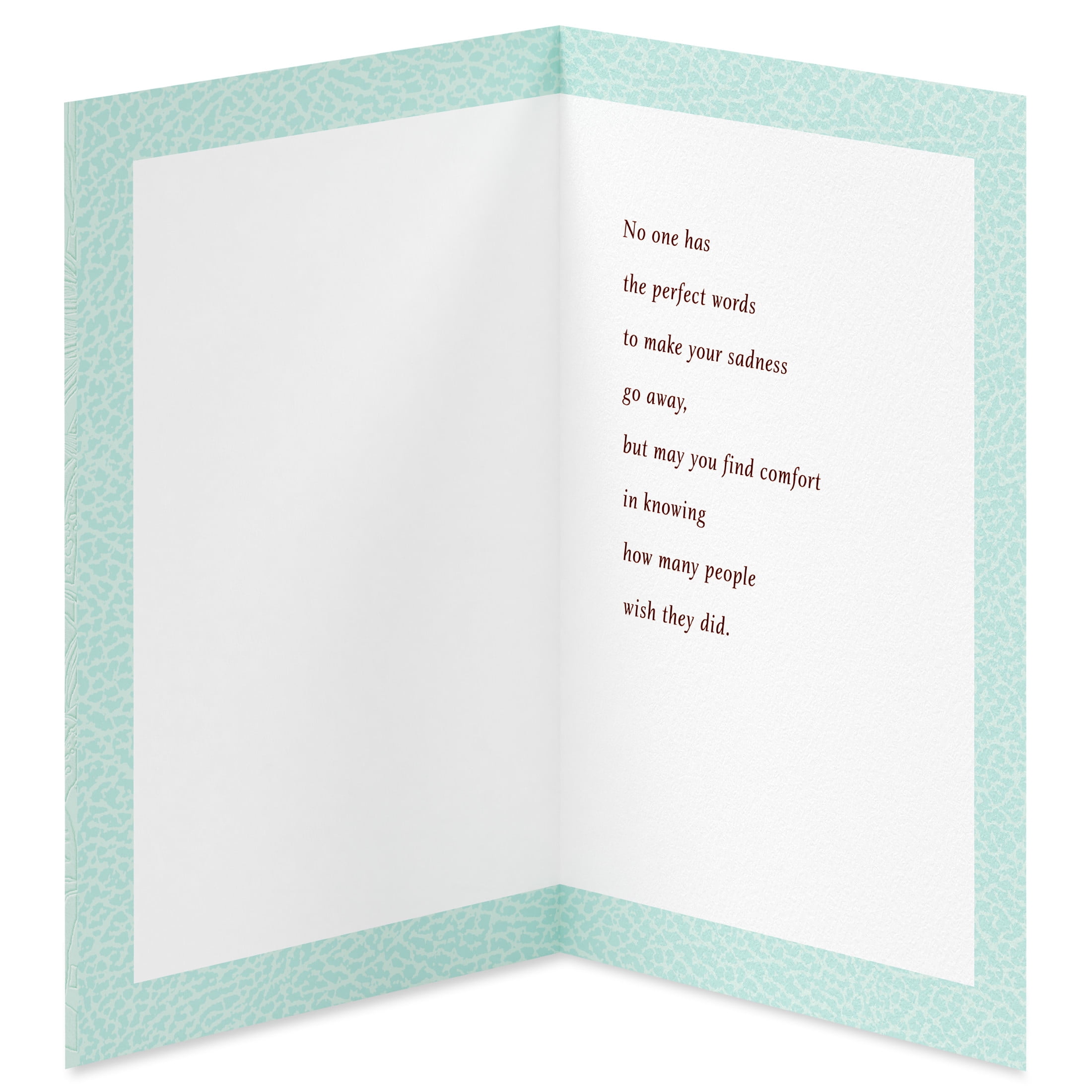 American Greetings Sympathy Card for Anyone (Perfect Words)