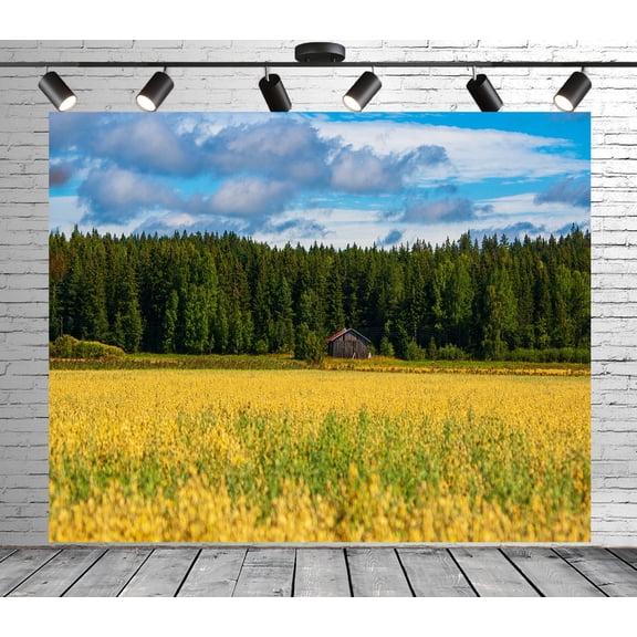 Diha 5x4ft Natural Forest Backdrop, Fields Woods Cabin Sky, Backdrop for Party Decoration, Outdoor Theme Bedroom Wedding Day Photoshoot Background, Kids Game Video Studio Props