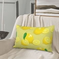 thumbnail image 5 of Picia Bright Lemons Pattern Plush Pillow Case – Soft and Cozy Cushion Cover, Hypoallergenic Throw Pillow Case for Home Decor-14"x20", 5 of 6