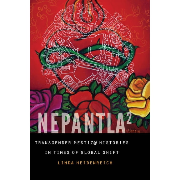 Expanding Frontiers: Interdisciplinary Approaches to Studies of Women, Gender, and Sexuality: Nepantla Squared : Transgender Mestiz@ Histories in Times of Global Shift (Hardcover)