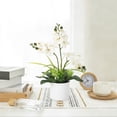 thumbnail image 2 of Soonbuy 16 Inch Artificial Phalaenopsis Orchid Arrangement with Vase, Real Touch Faux Orchid Flowers, 3 Stem Silk Orchid Plant for Tabletop Home Decor, Living Room, Bedroom, Office, 2 of 7