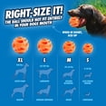 thumbnail image 4 of Bolas Fetch Chuckit! Mediano Breathe Right Juego de 2, 4 of 8