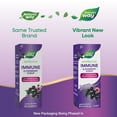 thumbnail image 4 of Nature's Way Sambucus Immune Elderberry Syrup, Vitamin C, Zinc, Echinacea, Unisex, 8 fl oz, 4 of 9