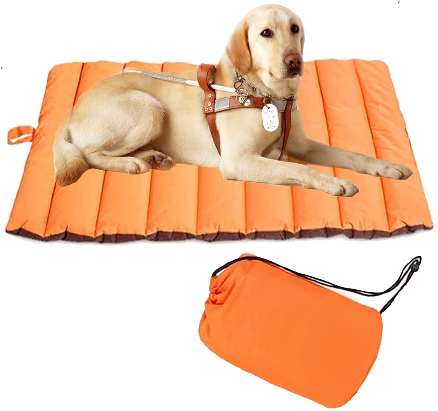 outdoor waterproof dog bed Washable, Large Size, Durable, Water