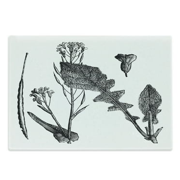 Black and White Cutting Board, Sketch Art Style Root Vegetable Leaves Turnip and Flowering Mustard Plant, Decorative Tempered Glass Cutting and Serving Board, Large Size, Black White, by Ambesonne
