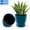 Turquoise, variant on Active Mind Ltd 1-Pack 12 Inch Round Planters for Indoor Outdoor Use, Large Flower Pots with Drainage Holes & Saucer, Heavy Duty Decorative Garden Planters for Patio, Balcony, Home Decor (Gray)