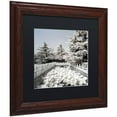 thumbnail image 2 of Trademark Fine Art "Lotus Bridge V" Canvas Art by Philippe Hugonnard, Black Matte, Wood Frame, 2 of 4