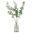 thumbnail image 6 of Vickerman 27" Artificial Green Eucalyptus Spray. Includes 3 sprays per pack., 6 of 8