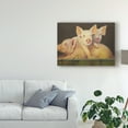 thumbnail image 3 of Trademark Fine Art 'Life as a Pig III' Canvas Art by Carolyne Hawley, 3 of 4