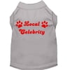 Pet Dog Cat Shirt Screen Printed, "Local Celebrity"