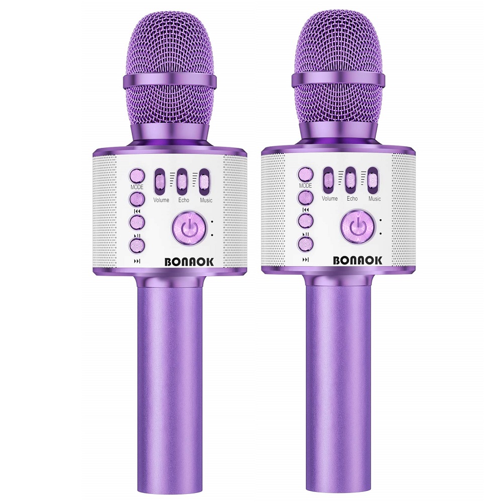 BONAOK 1 Pair Karaoke Microphone Wireless Bluetooth Handheld Mic