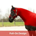 thumbnail image 3 of Resistance Horse Hood Pull-On with Face & Forelock Saver, Lycra Material, All Season, Small - Xlarge sizes, 3 of 7