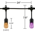 thumbnail image 2 of Enbrighten Classic LED Café String Lights, 24ft, Black Cord, 36134, 2 of 5