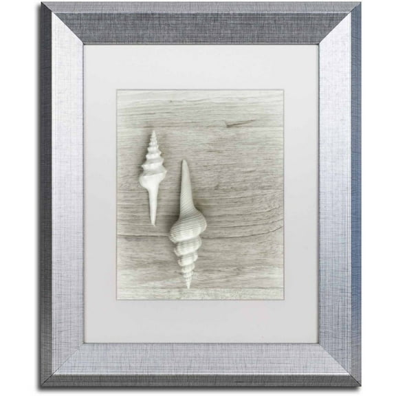 Trademark Fine Art 'Two White Shells' Canvas Art by Cora Niele, White Matte, Silver Frame