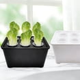 thumbnail image 4 of Hydroponic Grow Box 6-Hole Planting System Home Herb Planter Vegetable Cultivation Kit for Indoor Gardening, 4 of 8