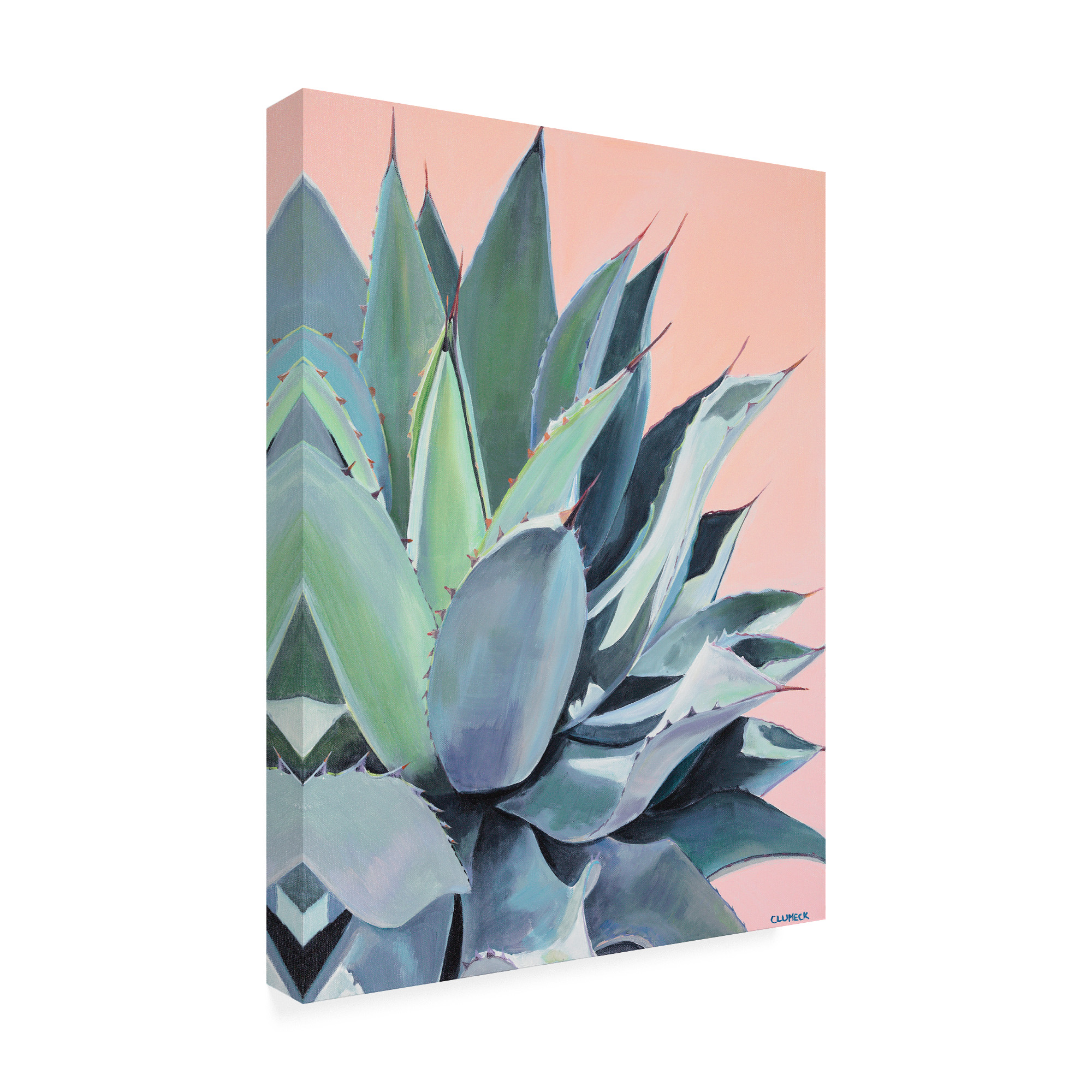 Trademark Fine Art 'Glory Agave' Canvas Art by Alana Clumec