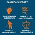 thumbnail image 5 of Candida Support, 60 Capsules, Dr. Tobias, 5 of 5