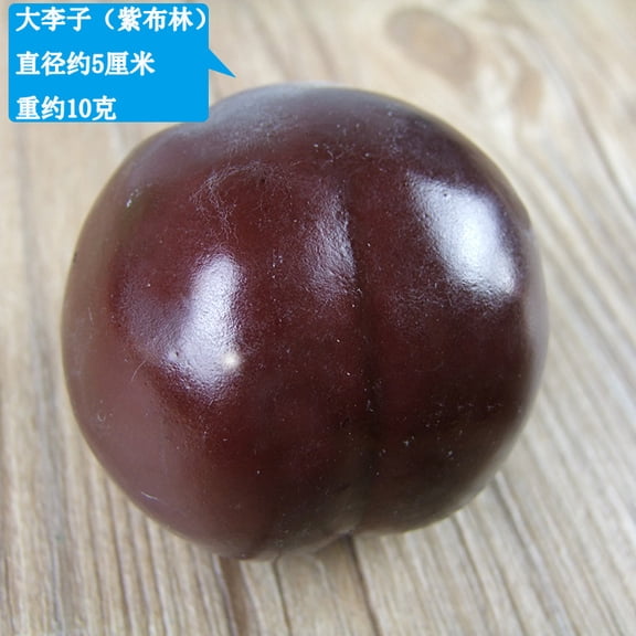 suxuMhao Artificial Fruits, Artificial Plum, 6 Pcs Purple Fake Fruits Faux Fruit Simulation Fruit,2IN Decorative Fruit & Vegetables for Home Decor Holiday Display Photography Props