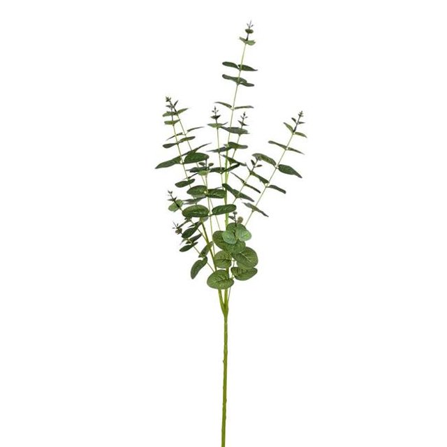 Vickerman FH190504 36 in. Green Money Leaf Spray