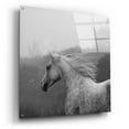 thumbnail image 2 of Epic Art 'shira runs ' by Susan Friedman, Acrylic Glass Wall Art, 36"x36", 2 of 8