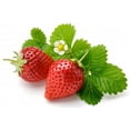 thumbnail image 2 of Strawberry Wall Mural by Wallmonkeys Peel and Stick Graphic (48 in W x 32 in H) WM170507, 2 of 4