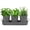 Gray, variant on Plexon Herb Planter Indoor Garden Set of 3 with Tray, Metal Herb Pots for Indoor Plants, Round Kitchen Garden Kit Ideal for Windowsill Planter or Countertop, Off-White Powder Coated