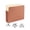 20 Pack, variant on Staples Expanding File Pockets 5.25" Expansion Letter Size Brown 10/BX TR418335-CC