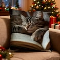 thumbnail image 4 of Cute Sleeping Cat & Book Print Pillowcase - 18x18 Inch Short Pile Polyester Cushion Cover, Soft Multicolor Sofa Pillowcase for Living Room, Bedroom Bed Decor, 4 of 7
