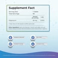 thumbnail image 3 of H2 Molecular Hydrogen Water Tablets 12 PPM – Effervescent Hydrogen Tablets for Drinking Water, Supports Healthy Hydration, Energy, and Metabolism – 60 Raspberry, 3 of 6