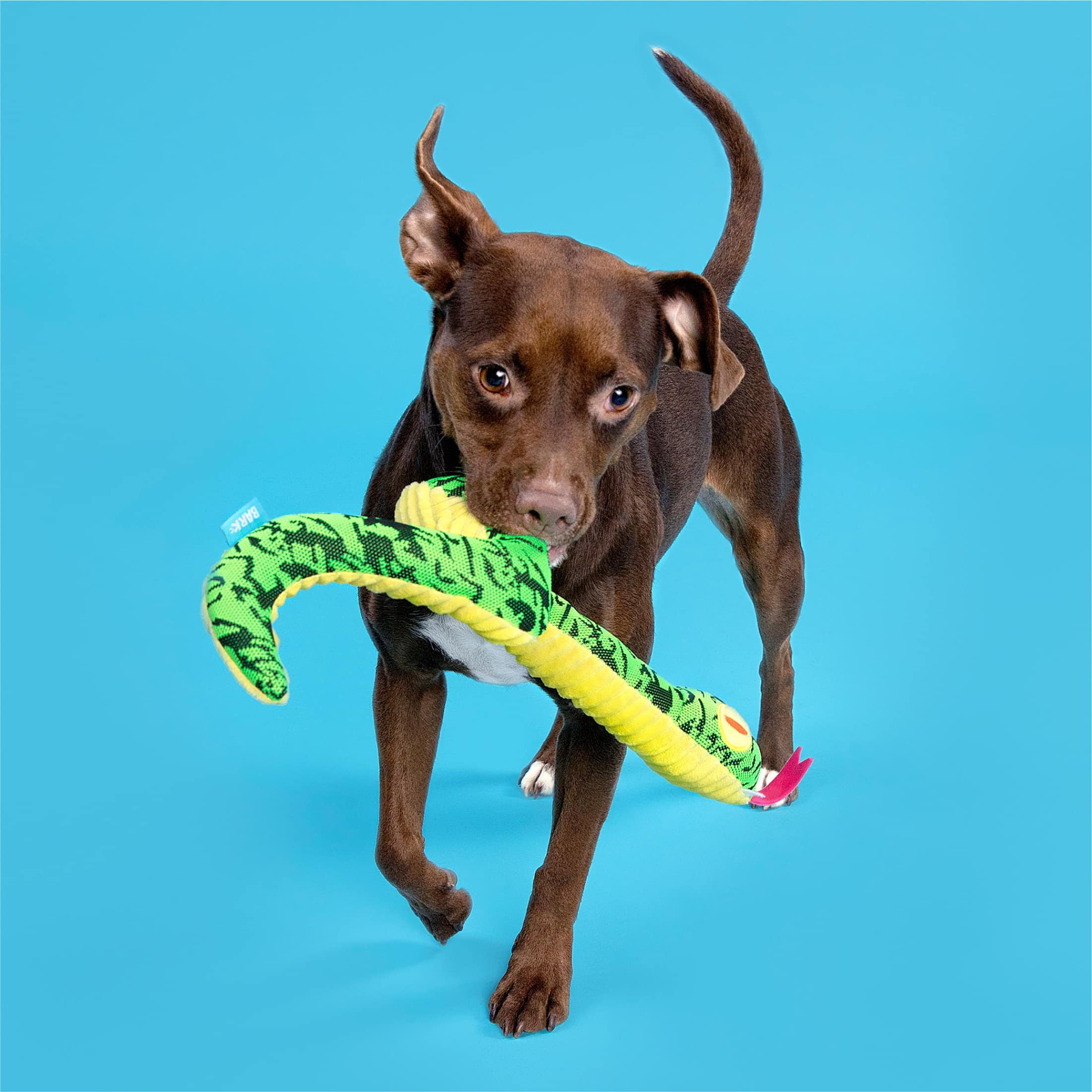 BARK Sssssssssteve Plush Snake Dog Toy